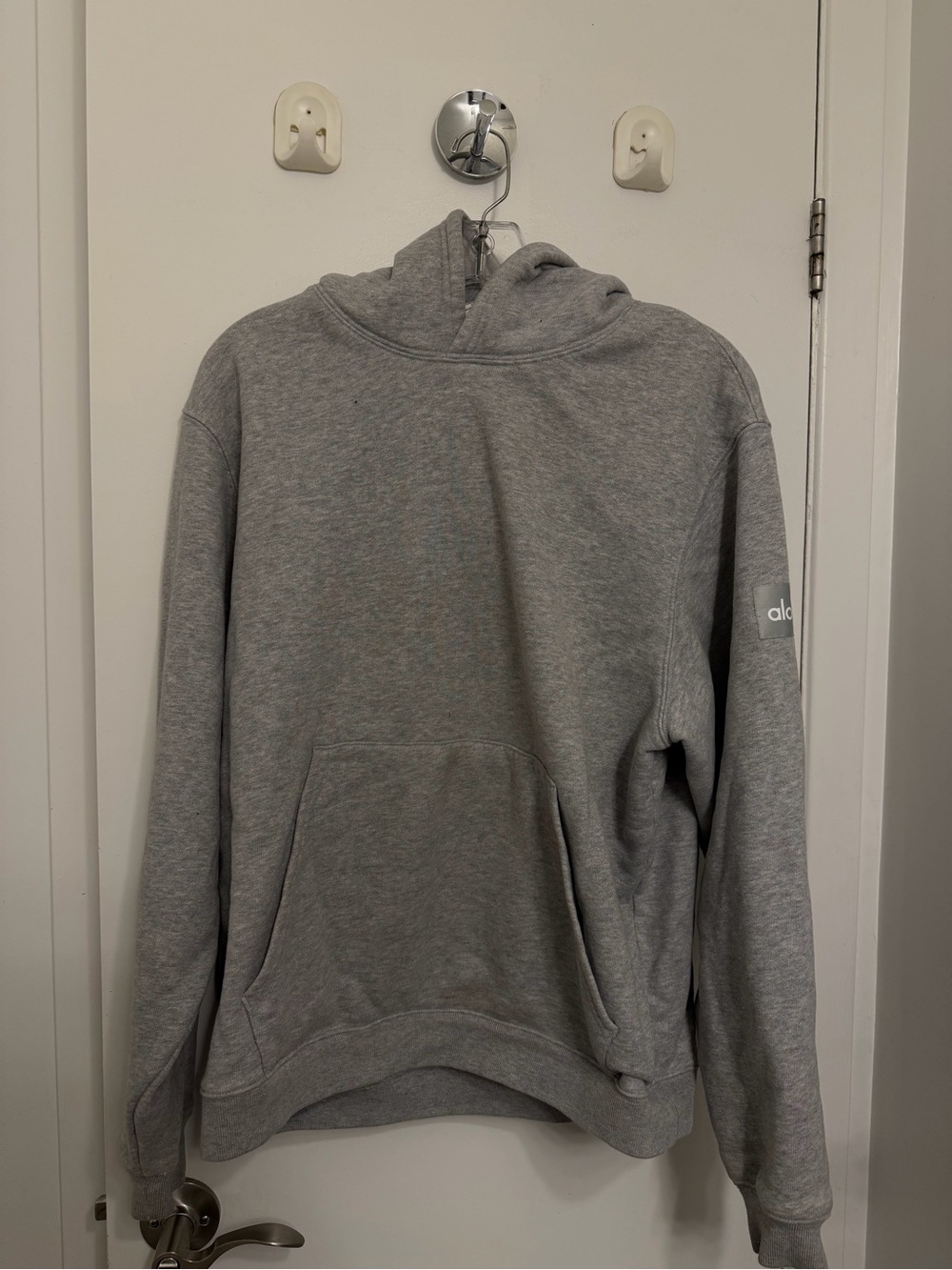 Alo yoga renown hoodie